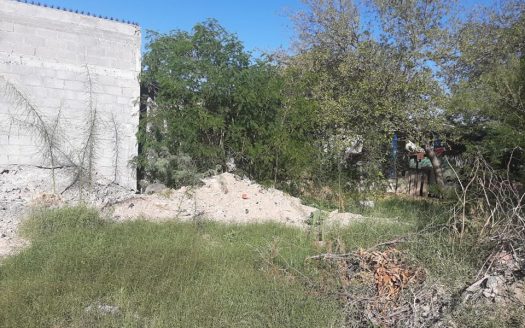 TERRENO EN VENTA BRAVO S/N COL. BUENA VISTA